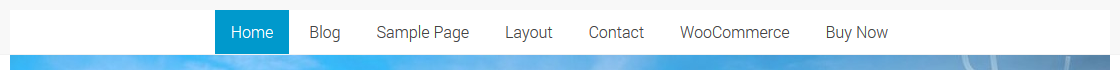 Type 2: Menu aligned center
