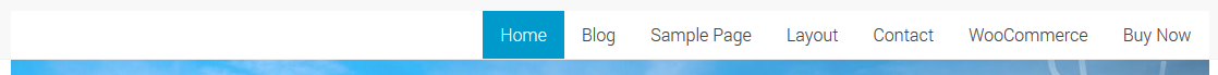 Type 3: Menu aligned right